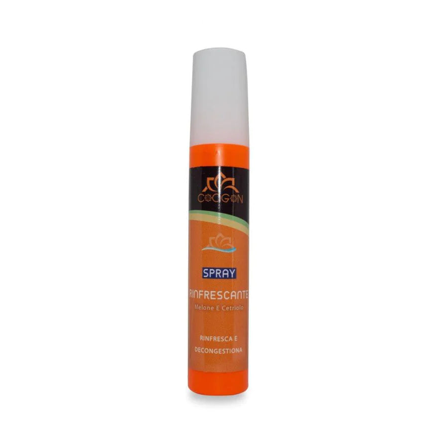 ERFRISCHUNGSSPRAY – GURKE & MELONE 150 ML